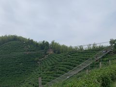 -长沙黑麋峰国家森林公园