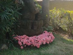 -厦门日月谷温泉渡假村