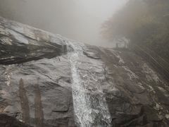 -青峰峡国家森林公园