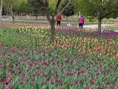 -长春公园(普阳街道)