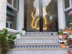 -有猫主题·治愈系猫咖(曾厝垵店)