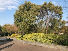 -吴淞炮台湾湿地森林公园烧烤区