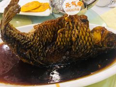 挣蹦鲤鱼-奥华餐厅·老张记(台基厂店)