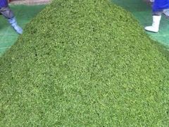 -文雅轩茶叶(锦和越界田林坊店)