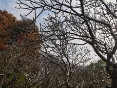 -晓港公园