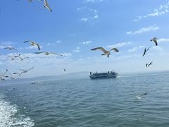 -长岛南北长山旅游景区