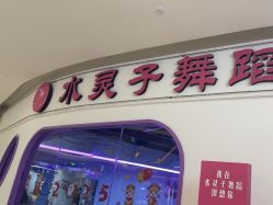 -水灵子·专注成人零基础