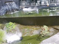 -蘇河湾·新鲁菜·泰山宴(泰山店)