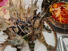 -红鼎豆捞·非遗鲍皇汤火锅(宝丰路店)