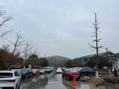 -南山渔宴