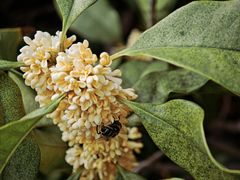 -日照世帆赛基地