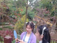 -聚龙山公园