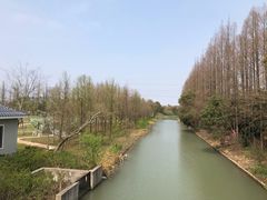 -上海长兴岛郊野公园