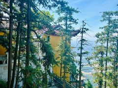 -横岗山森林公园