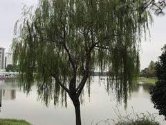 -美兰湖景区