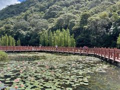 -广州市石门国家森林公园