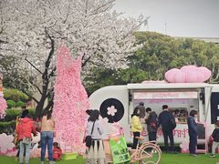 -南浦大桥长途旅游客运站