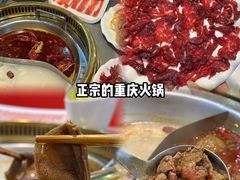 -重庆巴渝火锅(钟家村店)