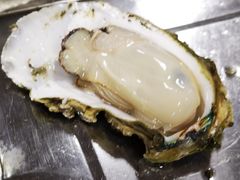 清蒸生蚝-江村四哥新鲜牛肉店(江高总店)
