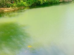 -白马涧龙池景区