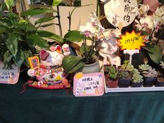 -EGO原创机械密室逃脱(朝阳大悦城2店)