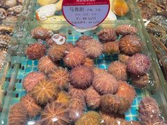 -连鹭海鲜·海肠捞饭·海胆饭(星海店)