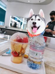 -OnHair造型