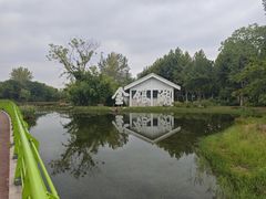 -金银湖国家城市湿地公园