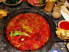 -蜀大侠火锅(建设路第五大道店)