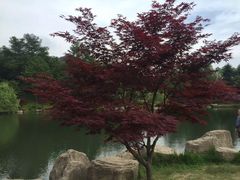 -溪口-滕头旅游景区