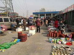 -中环花鸟鱼虫市场