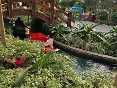 -南宫五洲植物乐园