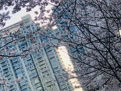 -西北湖绿化广场