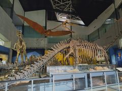 -湖南省地质博物馆