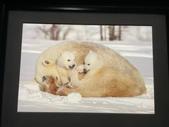 -罗红摄影艺术馆