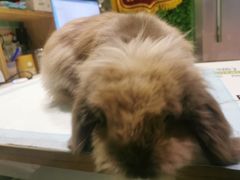 -雨林宠物医院 非犬猫异宠专科