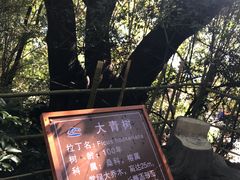 -南诏风情岛