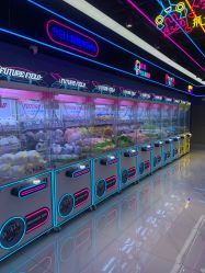 -吉睿电子游艺(凯德MALL太阳宫店)