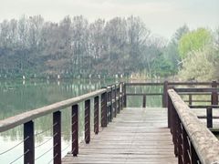 -苏州太湖国家湿地公园