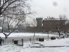 -文瀛公园