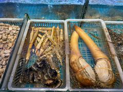 -启东小海鲜(庄先湾路1号店)