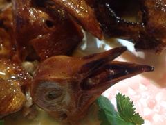吊烧乳鸽-郑厨私房菜