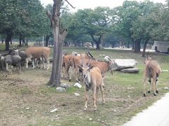 -西安秦岭野生动物园
