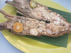 -纽顿熟食中心