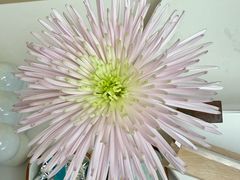 -同仁堂粹和餐厅·食养养生宴(新大都店)