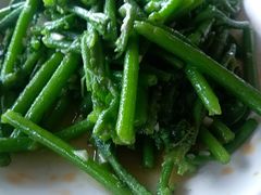 -菠菜美食