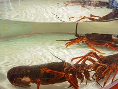 -万龙洲海鲜(大兴绿地缤纷城店)