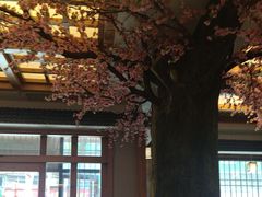 -鸥迪足道(安庆店)