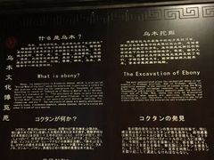 -乐山乌木文化博览苑