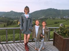 -帐篷客·溪龙茶谷度假酒店